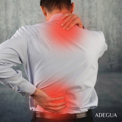 arnica o artiglio del diavolo